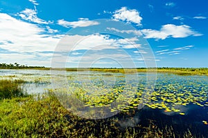 Florida Nature Preserve