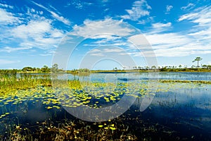 Florida Nature Preserve