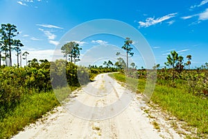 Florida Nature Preserve