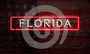 Florida Neon Sign On Brick American Flag