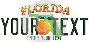Florida number plate photo