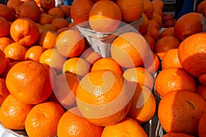 Florida oranges at a fruit and vegetable stand on a Saturday morning farmers market