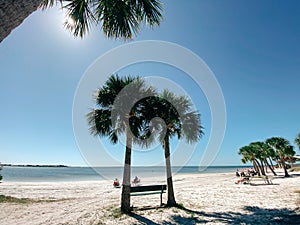 Florida palm harbor beach photo