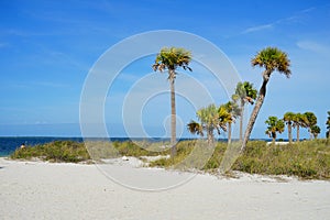 Florida palm harbor beach photo