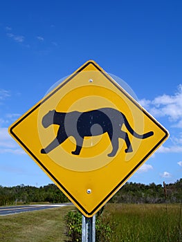 Florida Panther Crossing