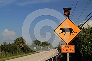 Florida Panther Crossing Sign