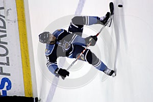 Florida Panther Hockey Player