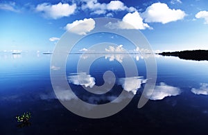 Florida Reflections 2