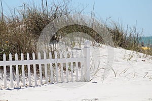 Florida Sand Dunes