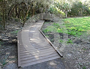 Florida Shell Mound Archaeological Site Trail