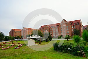 Florida State University landscape