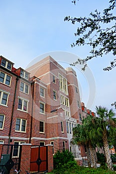 Florida State University landscape