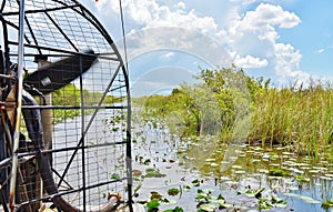 Florida state usa everglades airboat gator trip