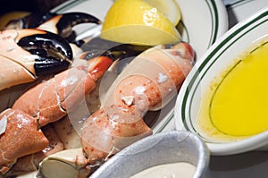 Florida stone crab claws photo