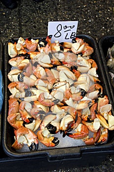 Florida Stone Crab Claws