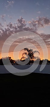 Florida Sunset in Bartow