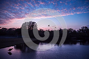 Florida sunset with a big bird in the water