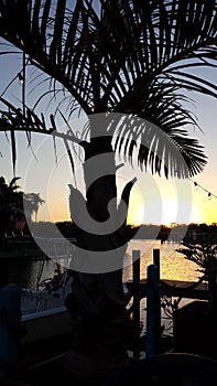 Florida sunset on Bonita Springs canal