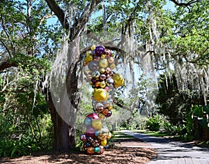 Florida Swamp Tree in tropical settings