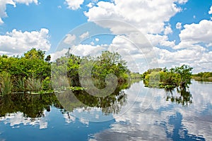 Florida wetland, Airboat ride at Everglades National Park in USA. Popular place for tourists, wild nature and animals