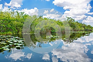 Florida wetland, Airboat ride at Everglades National Park in USA