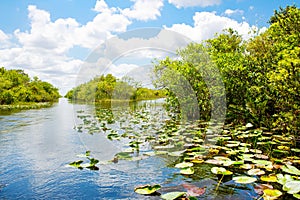 Florida wetland, Airboat ride at Everglades National Park in USA