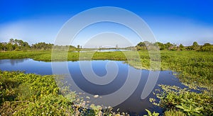 Florida Wetlands