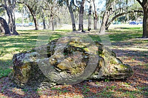 Floridan aquifer rock