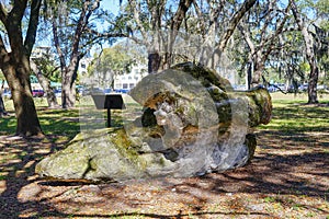 Floridan aquifer rock