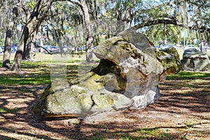 Floridan aquifer rock