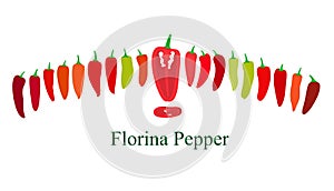 Florina pepper flat icon set vector illustration