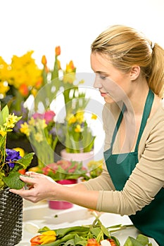 Florist arrange spring flowers colorful photo