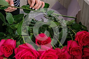 Florist arranging a bouquet from pink roses. Close up florist working cutting roses stem with pruning shears while