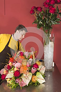 Florist arranging fresh flowers