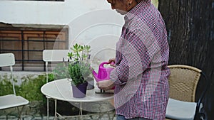 Florist botanist gardener scrutinizing a blossoming lavender while watering it from a watering can.