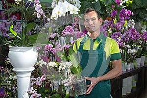 Florist in flower shop posing with orchid