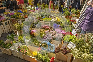 Florist and Fresh flowers at Portobello Market in Notting Hill