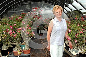 Florist in greenhouse