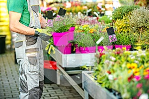 Florist and His Flowers Business