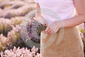 Woman holds lavender flowers in her hands, sunny day - close up