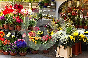 Florist shop with colorful spring flowers