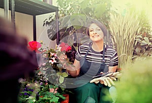 Florist with tools in the gardening store