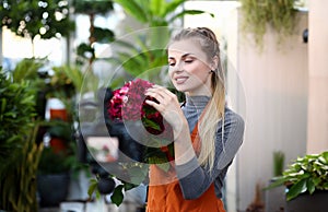 Florist Vlogger Touching Red Hydrangea Flower