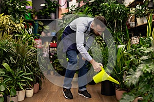 florist watering potted plants in store from plastic watering can
