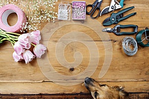 Florist workplace: dog looking at flowers