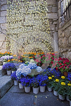 Floristic art bouquets compositions at Girona Flower Festival Tiempo de flores photo