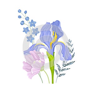 Floristic Composition with Purple Showy Iris Flower on Green Erect Stem Vector Illustration photo
