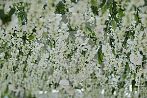 Floristry, different types of flowers, wedding decoration,