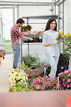 Florists couple working with flowers at a greenhouse