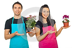 Florists workers showing to their plants photo